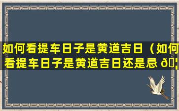 如何看提车日子是黄道吉日（如何看提车日子是黄道吉日还是忌 🦟 日）